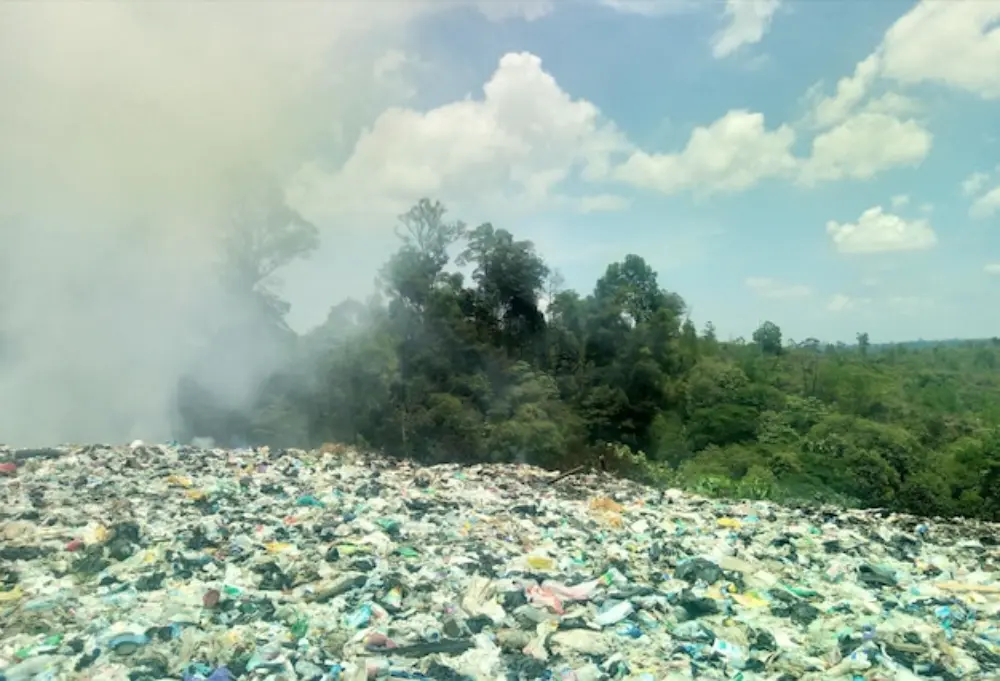 Environmental Pollution in Malaysia