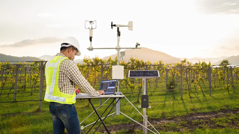 What Is Environmental Monitoring and Why Does It Matter
